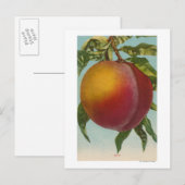 Vruchtchroomafnemer van perzikvruchtenStaat Briefkaart (Voorkant / Achterkant)