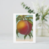 Vruchtchroomafnemer van perzikvruchtenStaat Briefkaart (Staand voorkant)