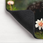 Vruchtdieren met celstaart muismat (Hoek)