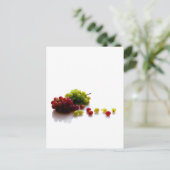 Vruchten Briefkaart (Staand voorkant)