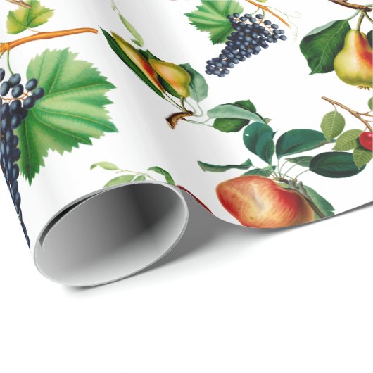  vruchten cadeaupapier (Rol Hoek)