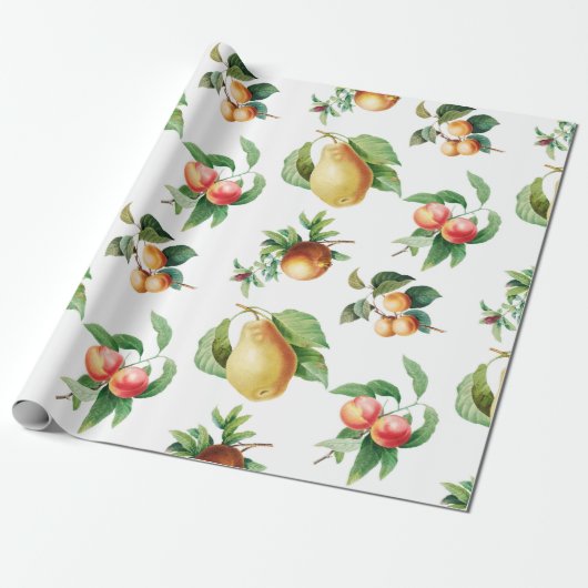 Vruchten Cadeaupapier (Uitgerold)