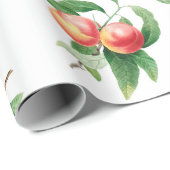 Vruchten Cadeaupapier (Rol Hoek)