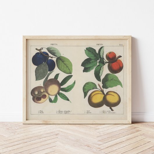 vruchten | Charlotte Mary Yonge Poster