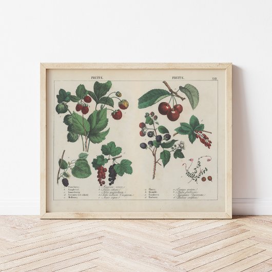vruchten | Charlotte Mary Yonge Poster