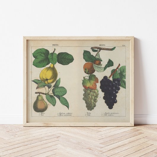 vruchten | Charlotte Mary Yonge Poster