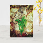 Vruchten en tandwielen kaart (Gele Bloem)