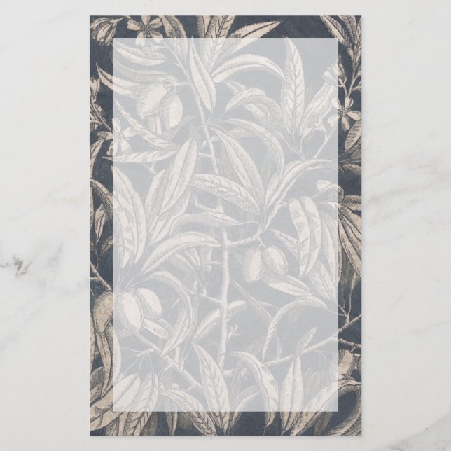  vruchten en vruchten I (Voorkant)