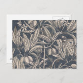 vruchten en vruchten I Briefkaart (Voorkant / Achterkant)