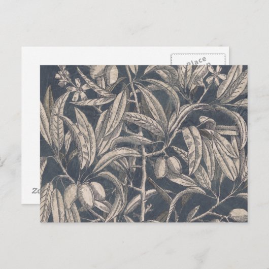  vruchten en vruchten I Briefkaart (Voorkant / Achterkant)