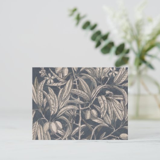  vruchten en vruchten I Briefkaart (Staand voorkant)