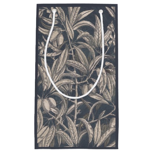  vruchten en vruchten I Klein Cadeauzakje (Voorkant)