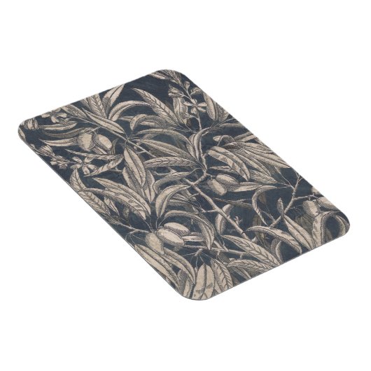  vruchten en vruchten I Magneet (Rechterzijde)