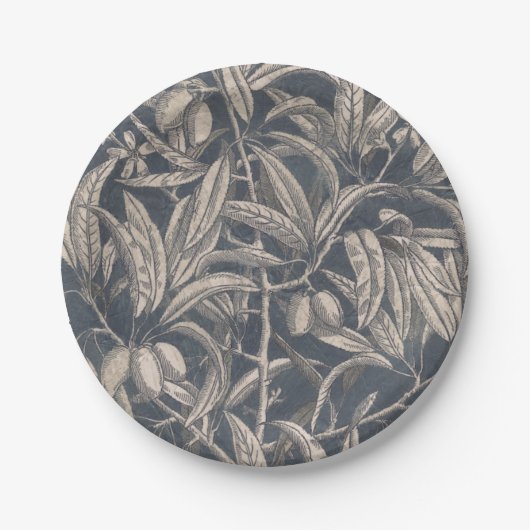  vruchten en vruchten I Papieren Bordje (Voorkant)