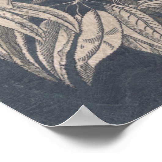 vruchten en vruchten I Poster (Hoek)