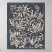 vruchten en vruchten I Poster (Voorkant)