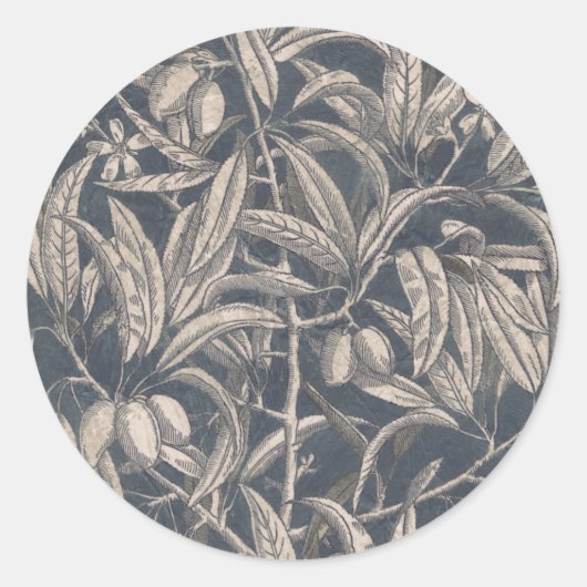 vruchten en vruchten I Ronde Sticker (Voorkant)