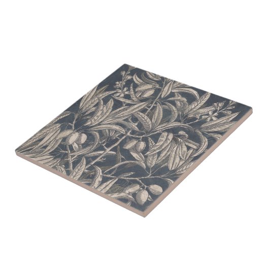  vruchten en vruchten I Tegeltje (Zijkant)