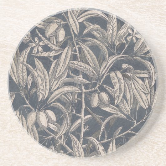  vruchten en vruchten I Zandsteen Onderzetter (Voorkant)