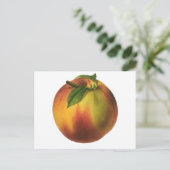  vruchten, gerijpt organisch perzik met leder briefkaart (Staand voorkant)