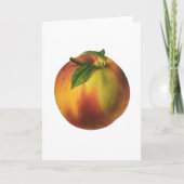  vruchten, gerijpt organisch perzik met leder kaart (Voorkant)