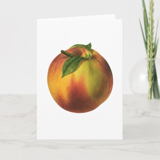  vruchten, gerijpt organisch perzik met leder kaart (Voorkant)
