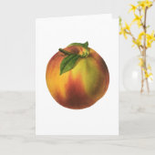  vruchten, gerijpt organisch perzik met leder kaart (Gele Bloem)