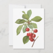  vruchten, kersen, Redoute uitnodiging (Voorkant)