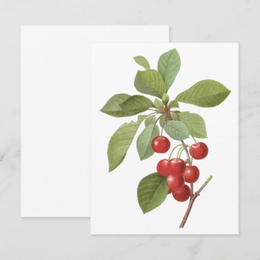  vruchten, kersen, Redoute uitnodiging (Voorkant / Achterkant)