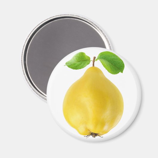 Vruchten Magneet (Voorkant / Achterkant)