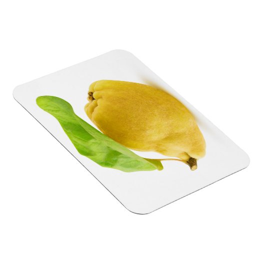 Vruchten Magneet (Rechterzijde)