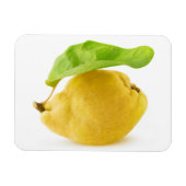 Vruchten Magneet (Horizontaal)