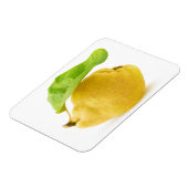 Vruchten Magneet (Linkerzijde)