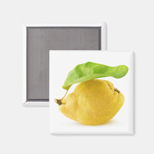 Vruchten Magneet (Voorkant / Achterkant)