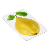 Vruchten Magneet (Rechterzijde)