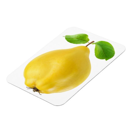 Vruchten Magneet (Linkerzijde)