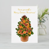 Vruchten met citrusvruchten, gedroogd met een mode folie feestdagenkaart (Staand Voorkant)