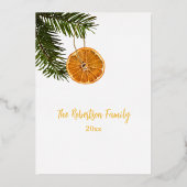 Vruchten met citrusvruchten, gedroogd met een mode folie feestdagenkaart (Achterkant)