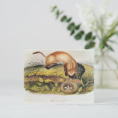 Vruchten met zwarte voet briefkaart (Staand voorkant)