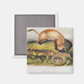 Vruchten met zwarte voet magneet (Voorkant / Achterkant)