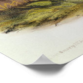 Vruchten met zwarte voet poster (Hoek)