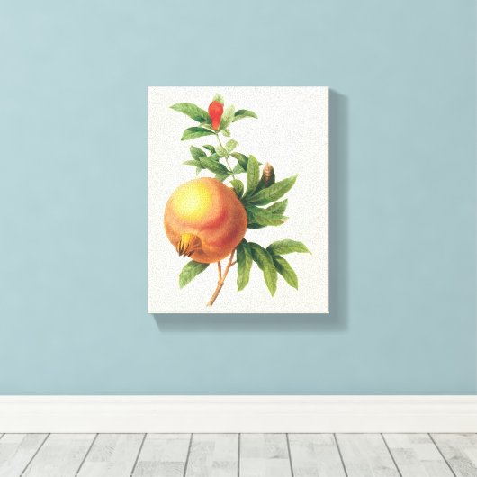  vruchten, Pomegranaat van Redoute Canvas Afdruk (Insitu (Houten vloer))