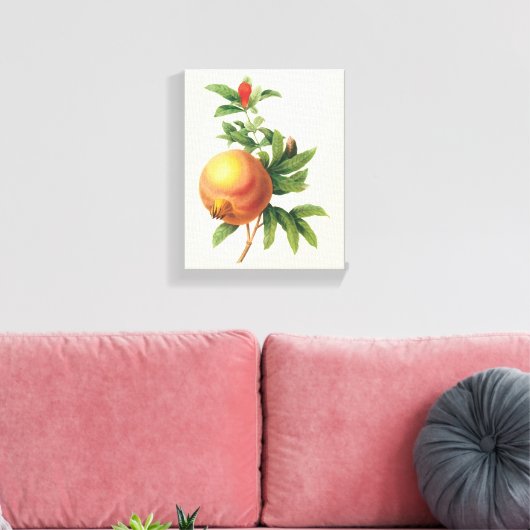 vruchten, Pomegranaat van Redoute Canvas Afdruk (Insitu (Woonkamer))