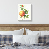  vruchten, Pomegranaat van Redoute Canvas Afdruk (Insitu (Slaapkamer))