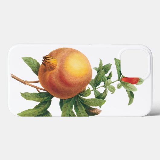 vruchten, Pomegranaat van Redoute Case-Mate iPhone Case (Achterkant (horizontaal))