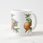  vruchten, Pomegranaat van Redoute Grote Koffiekop (Voorkant rechts)