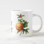  vruchten, Pomegranaat van Redoute Grote Koffiekop (Rechts)