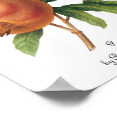  vruchten, Pomegranaat van Redoute Poster (Hoek)