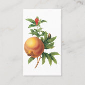  vruchten, Pomegranaat van Redoute Visitekaartje (Achterkant)