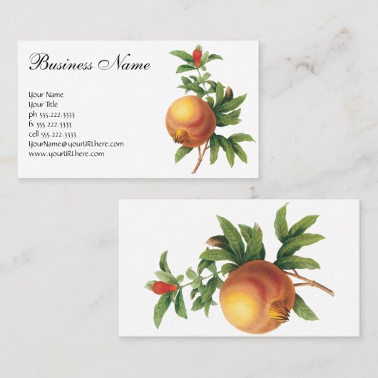  vruchten, Pomegranaat van Redoute Visitekaartje (Voorkant / Achterkant)